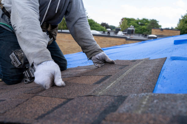 4 Ply Roofing in Platte City, MO